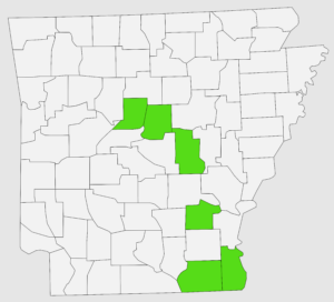 Arkansas service areas