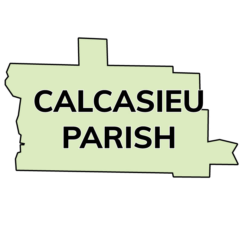Calcasieu Parish, LA includes the Carlyss fiber market